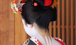 Maiko and Geiko