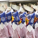 What is Awa Odori?