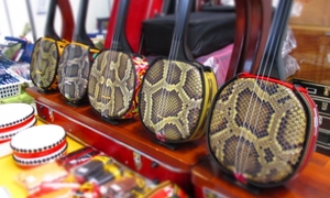 What is "Shamisen"?
