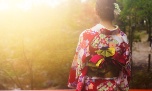 What is Kimono?