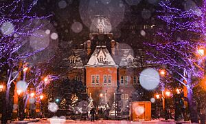 What is the Sapporo Snow Festival? 