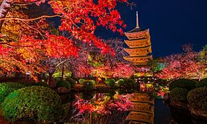 Top 20 Recommended Autumn Colors Spots