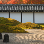 Japanese garden