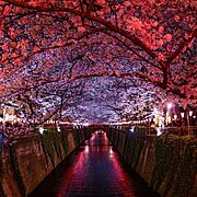 Shrines・Temples