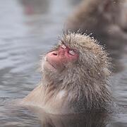 Hot Spring